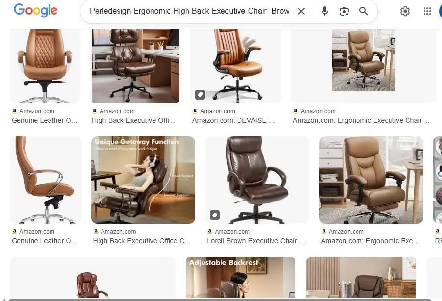 A Google Image search results page for ergonomic executive chairs