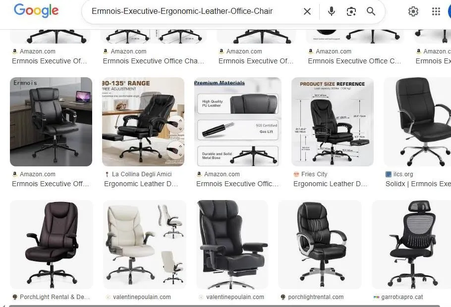 A Google Image Search Results Page for Ermnois Executive Office Chairs