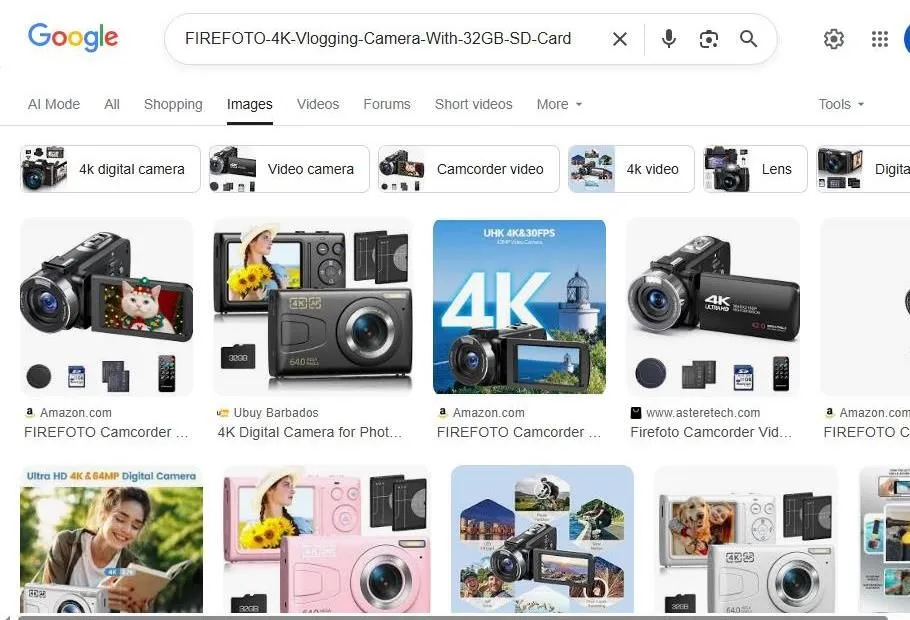 A Google Images search page for Firefoto vlogging cameras