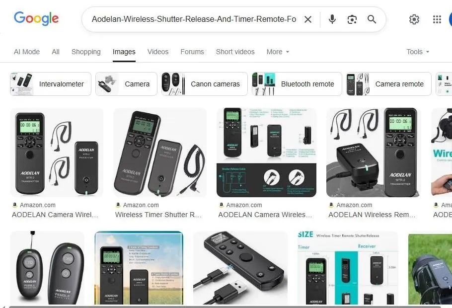 AODELAN Wireless Camera Remote Search Results