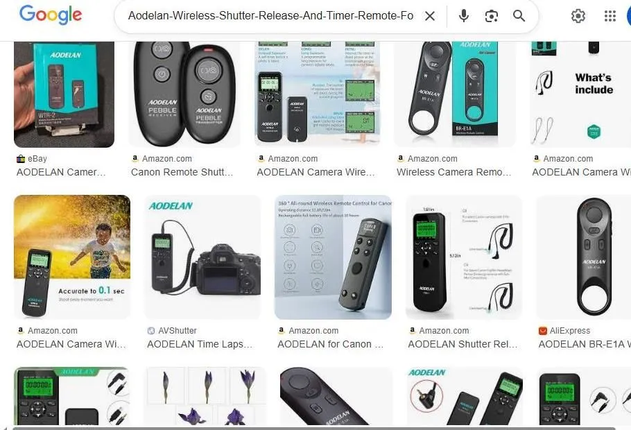 AODELAN Wireless Camera Remote Search Results
