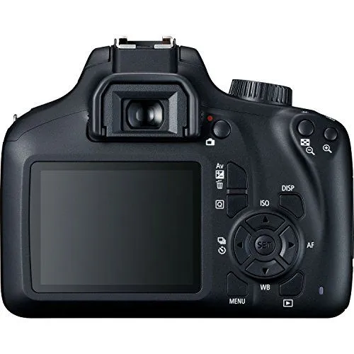 Back View of a Canon EOS Rebel DSLR Camera