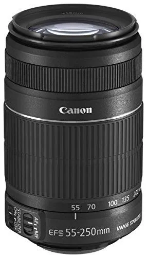 Canon EF-S 55-250mm f/4-5.6 IS II Telephoto Zoom Lens