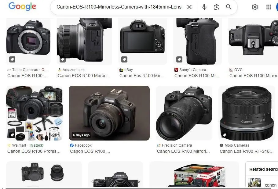 Canon EOS R100 Search Results