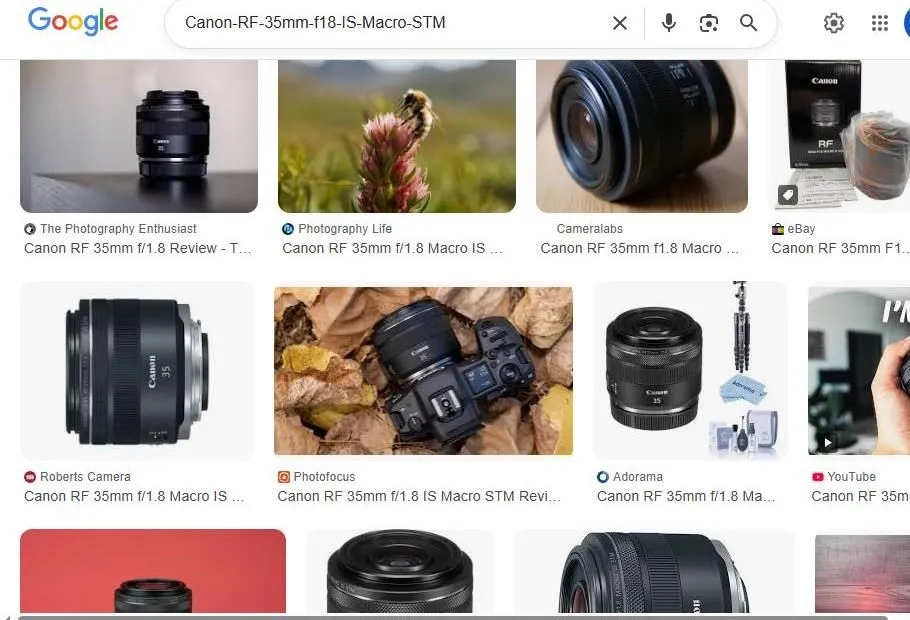 Canon RF 35mm f/1.8 IS Macro STM Search Results