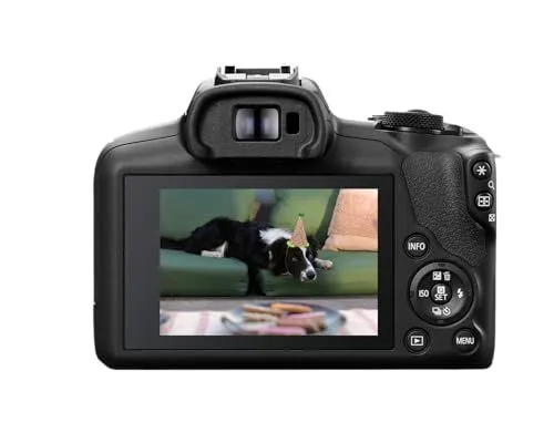 Digital Camera Displaying Dog Photo