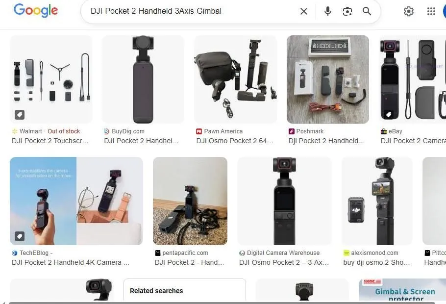 DJI Pocket 2 Google Search Results
