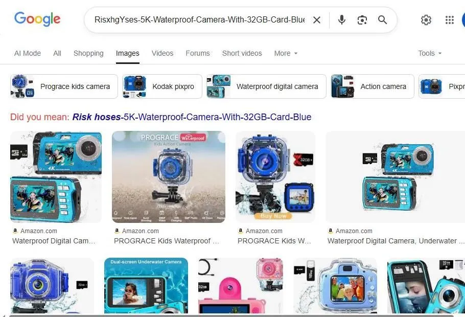 Google Image Search results for a waterproof camera