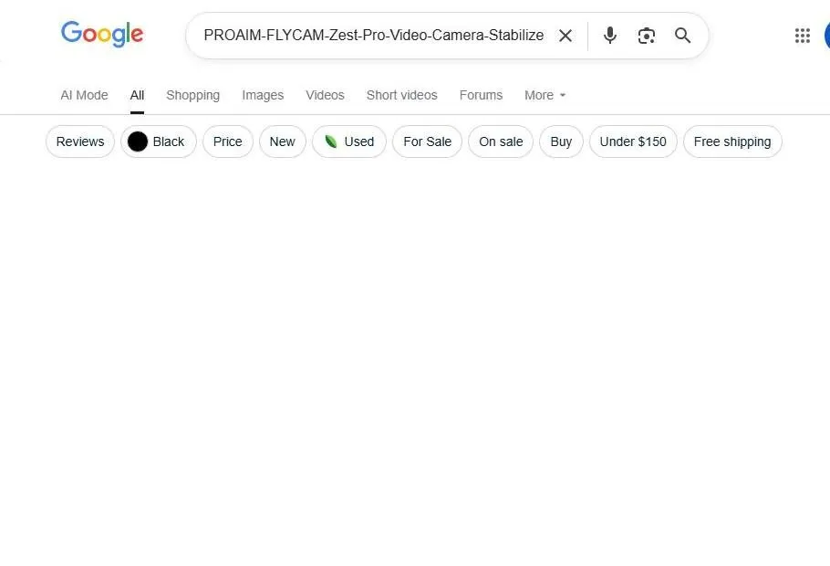 Google Search for Camera Stabilizer
