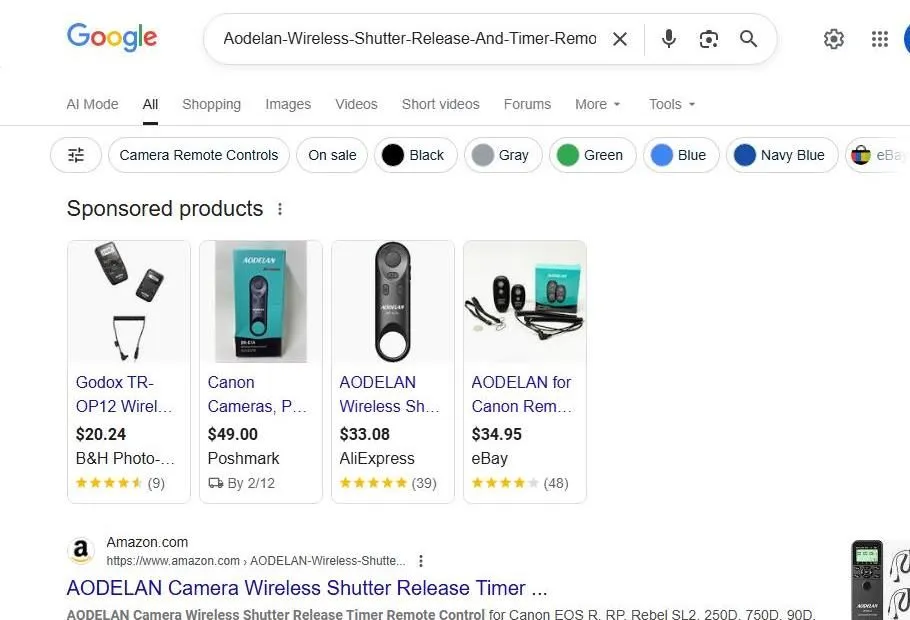 Google Search results for Aodelan wireless camera remotes