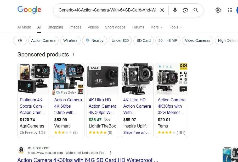 Google Search Results for Budget 4K Action Cameras
