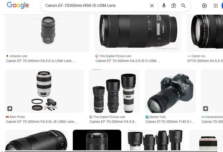 Google Search Results for Canon EF 70-300mm Lens