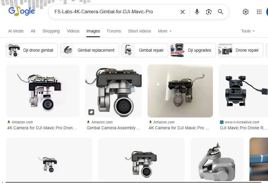 Google Search Results for DJI Mavic Pro Gimbal Camera