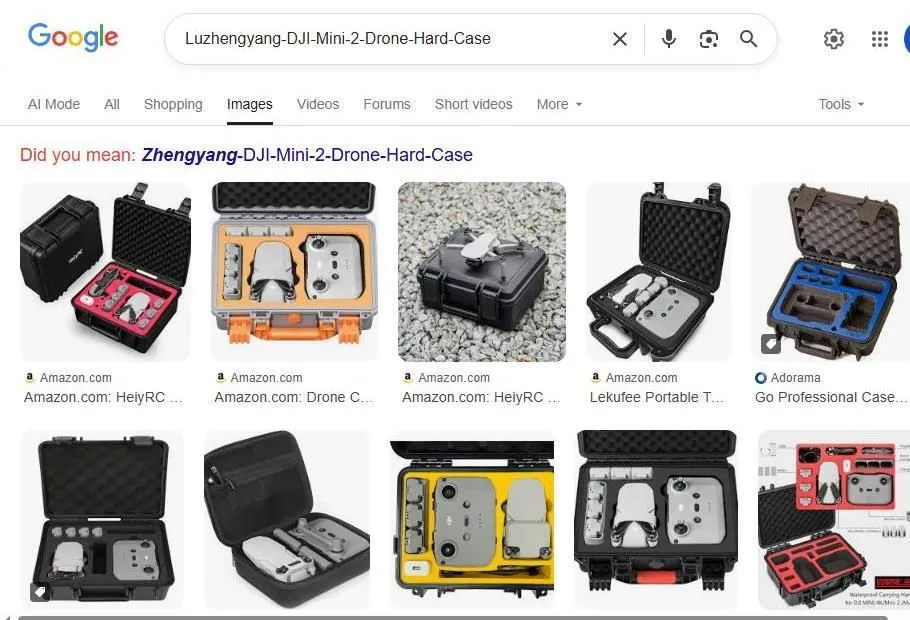 Google Search Results for DJI Mini 2 Hard Case
