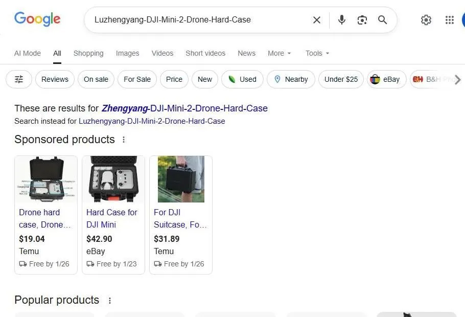 Google Search Results for DJI Mini 2 Hard Case