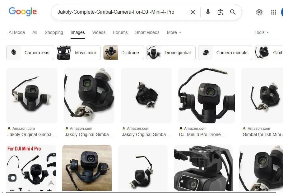 Google Search Results for DJI Mini 4 Pro Gimbal Camera Replacement Parts