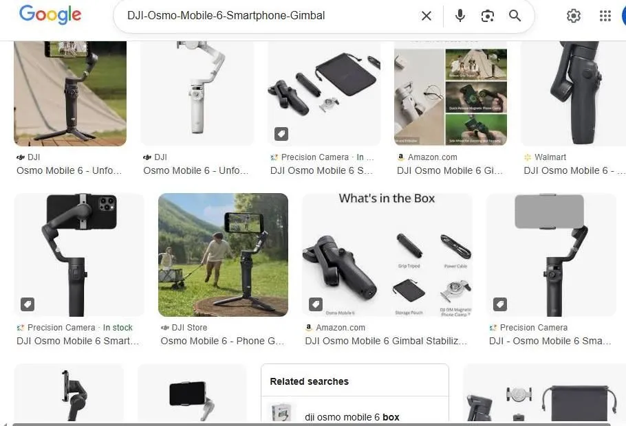 Google Search Results for DJI Osmo Mobile 6