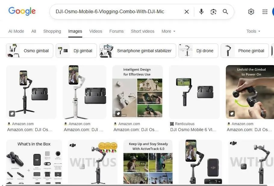 Google Search results for DJI Osmo Mobile 6 Vlogging Combo