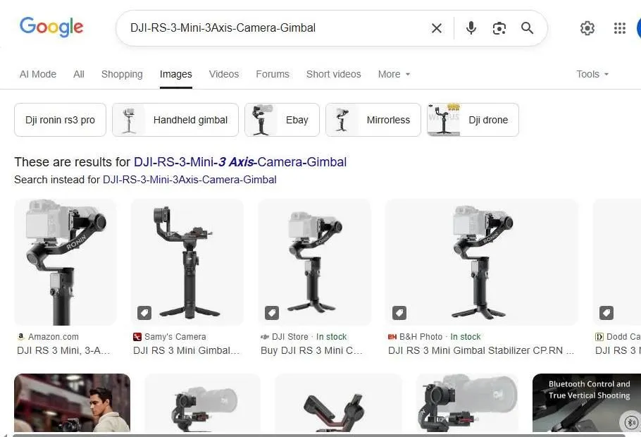 Google Search Results for DJI RS 3 Mini Gimbal