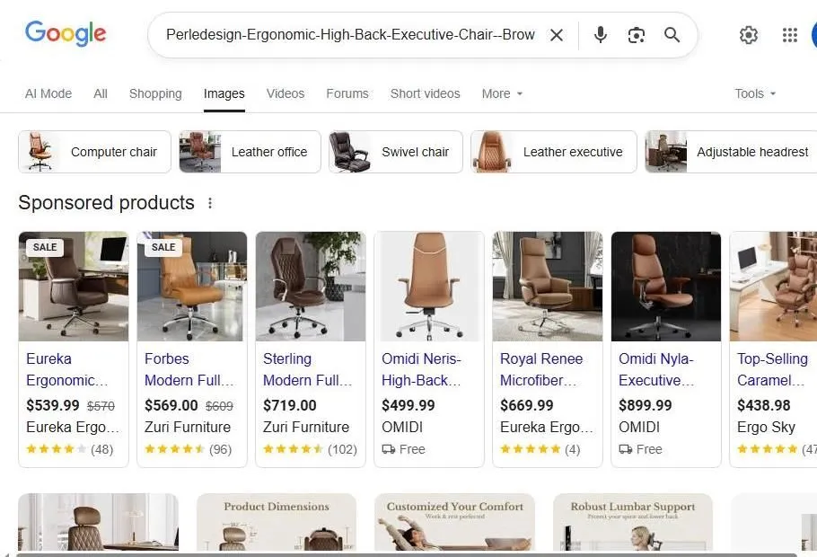 Google Search Results for Ergonomic Executive Chairs