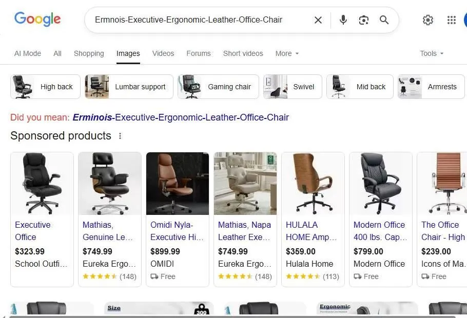 Google Search Results for Executive Ergonomic Office Chairs