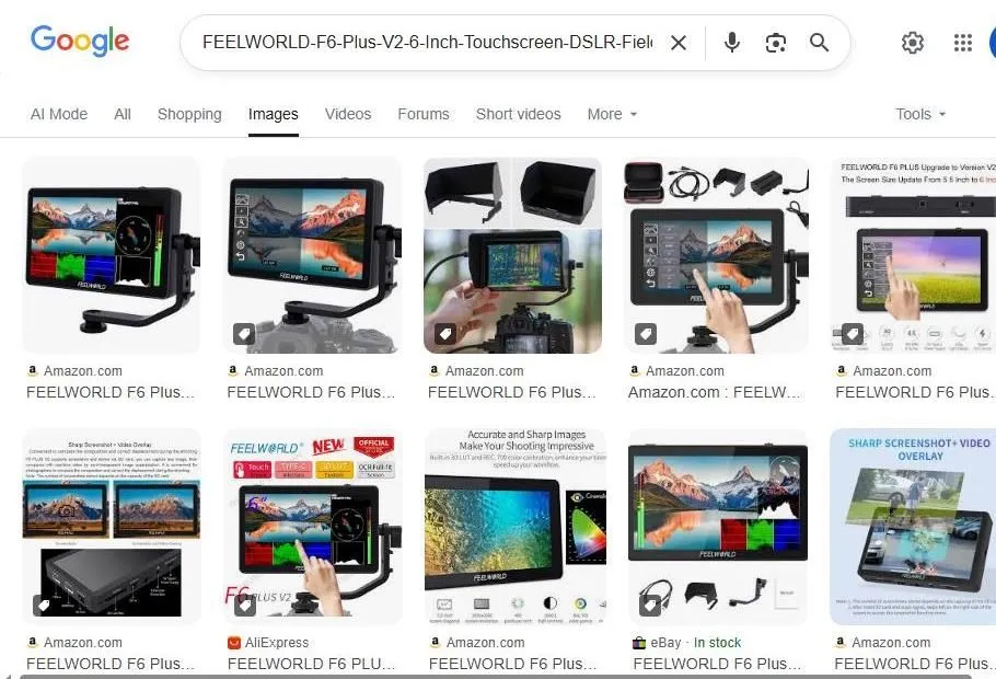 Google Search Results for Feelworld F6 Plus V2 Monitor