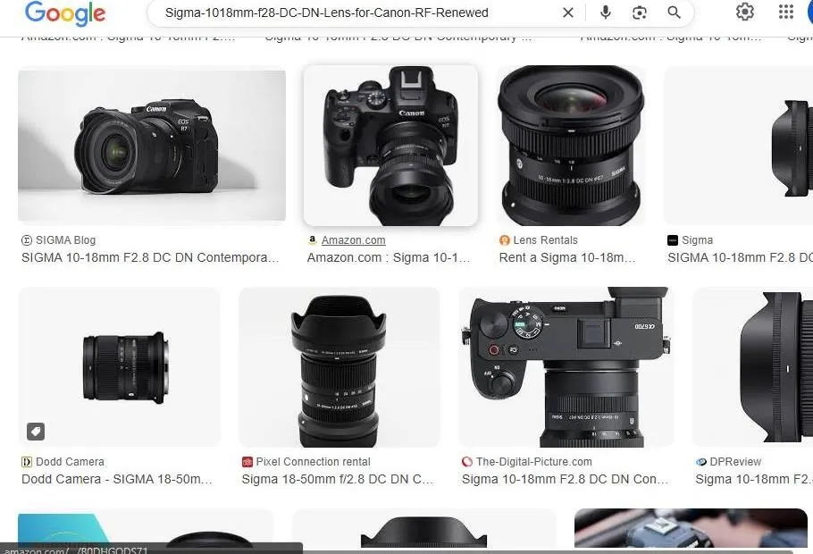 Google Search Results for Sigma 10-18mm Lens
