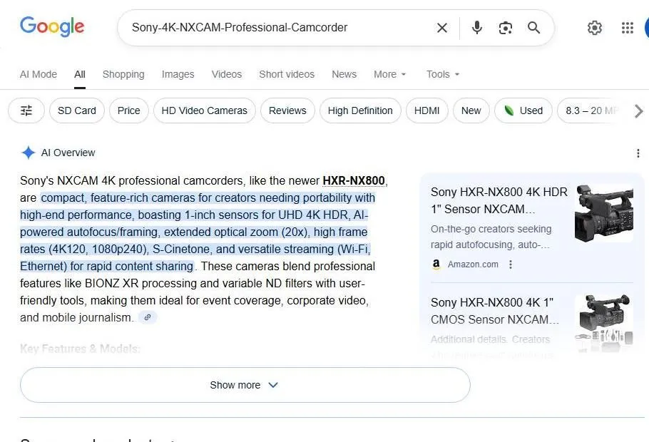 Google Search Results for Sony 4K NXCAM Professional Camcorder