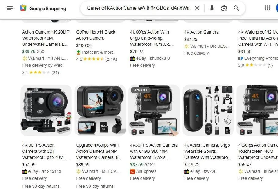 Google Shopping Results for Action Cameras