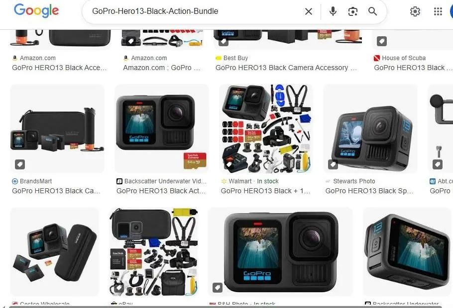 GoPro Hero 13 Black Search Results