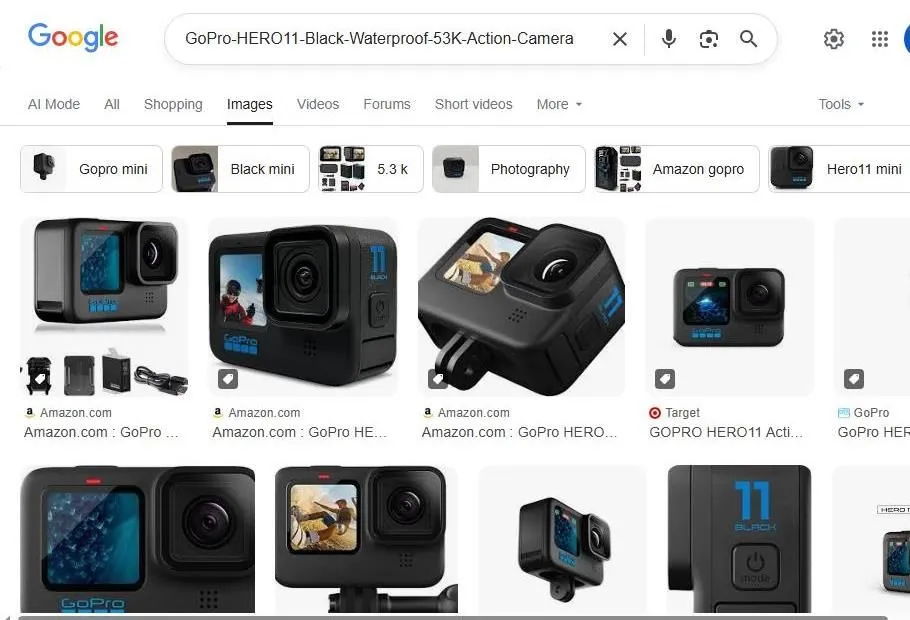 GoPro HERO11 Black Search Results