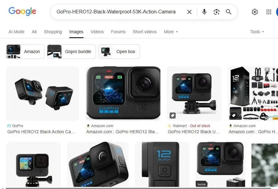 GoPro HERO12 Black Search Results