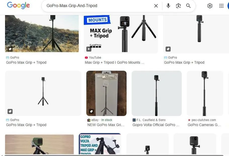 GoPro Max Grip and Tripod Search Results