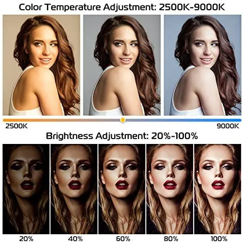 Infographic for Adjustable Lighting Settings