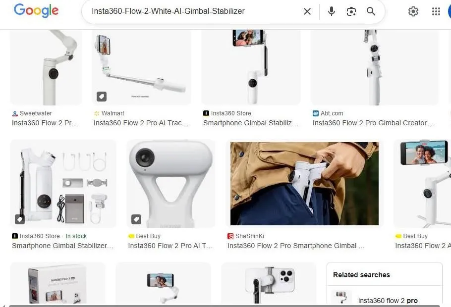Insta360 Flow 2 Pro Search Results