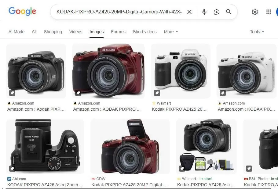 Kodak PIXPRO AZ425 Google Image Search Results