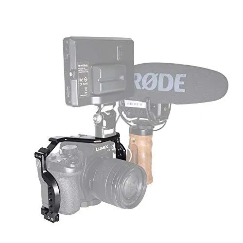 Lumix Camera with Professional Video Rig