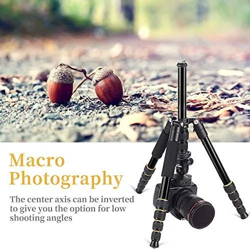 Macro Photography Setup