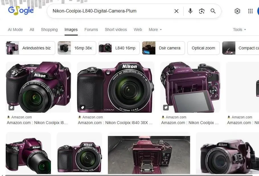Nikon Coolpix L840 Plum Camera Search Results