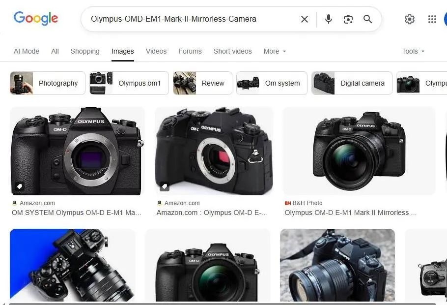 Olympus OM-D E-M1 Mark II Search Results