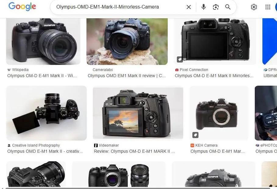 Olympus OM-D E-M1 Mark II Search Results