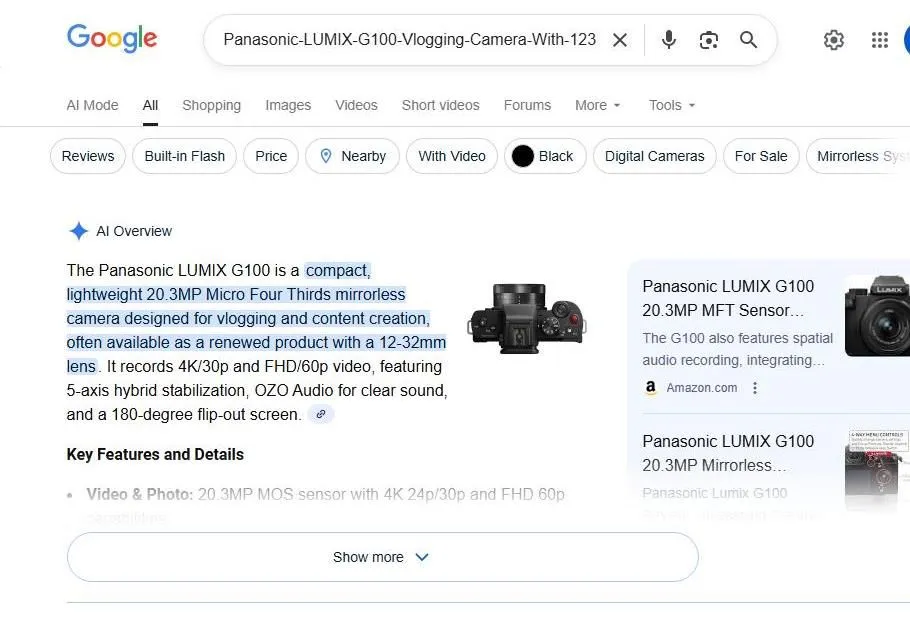 Panasonic LUMIX G100 Google Search AI Overview
