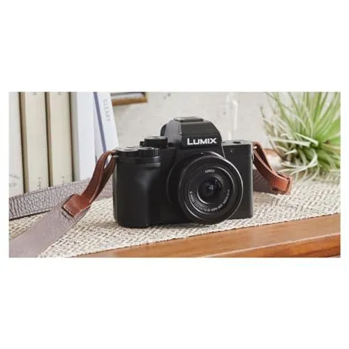 Panasonic Lumix G100 Mirrorless Camera