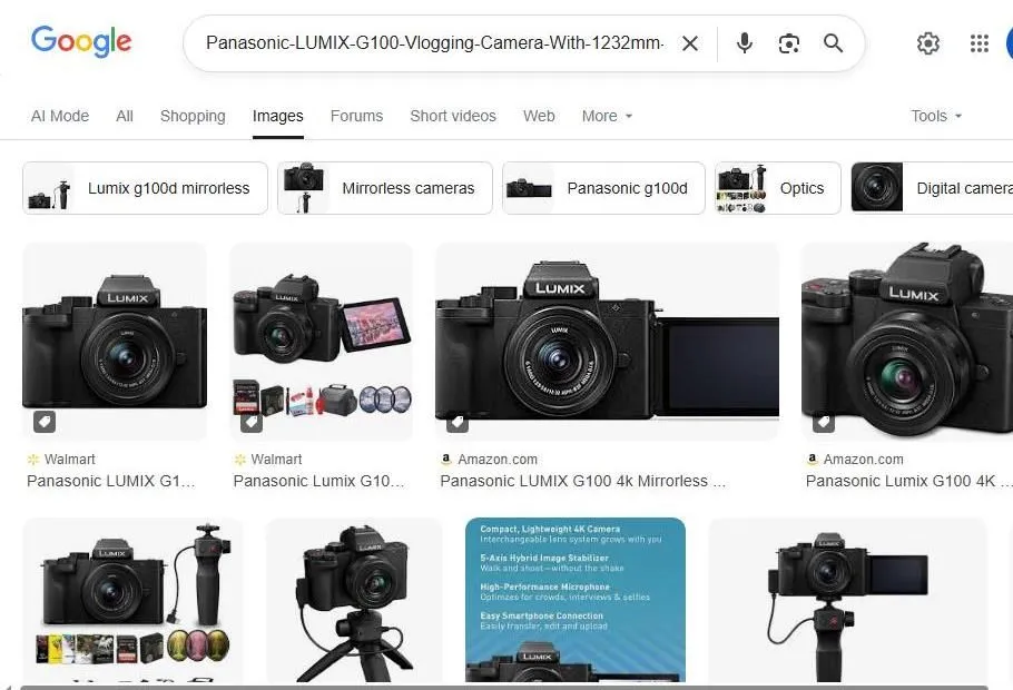 Panasonic LUMIX G100 Mirrorless Camera Search Results
