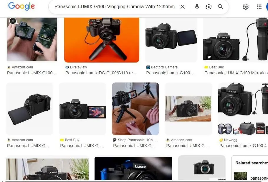 Panasonic LUMIX G100 Mirrorless Camera Search Results