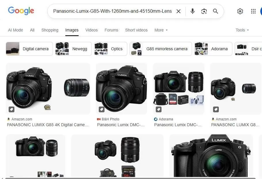 Panasonic Lumix G85 Google Image Search Results
