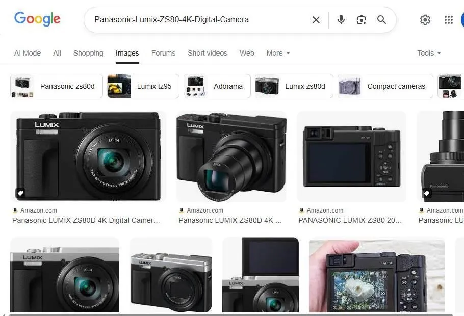 Panasonic Lumix ZS80 Digital Camera Search Results