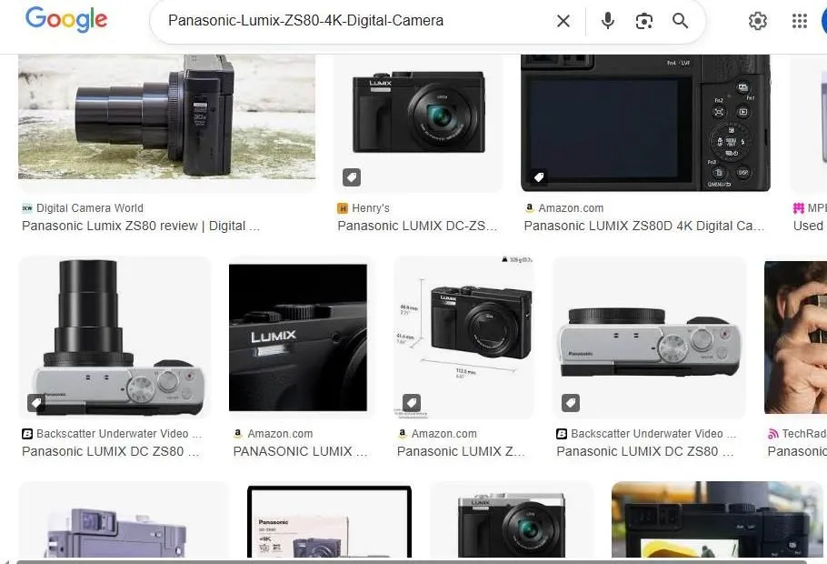 Panasonic Lumix ZS80 Search Results