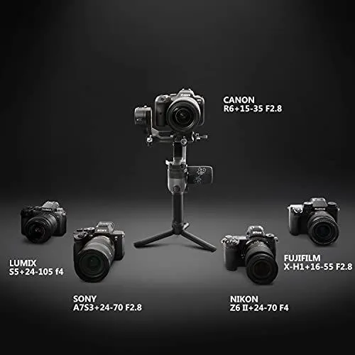 Professional Camera and Gimbal Compatibility