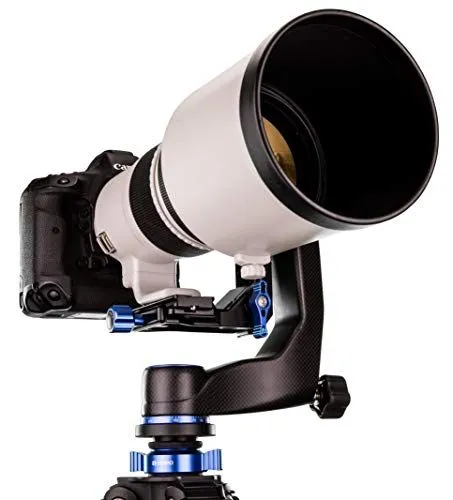 Professional Camera and Gimbal Tripod Setup